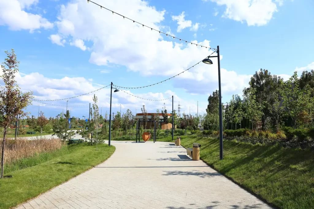 Большой парк